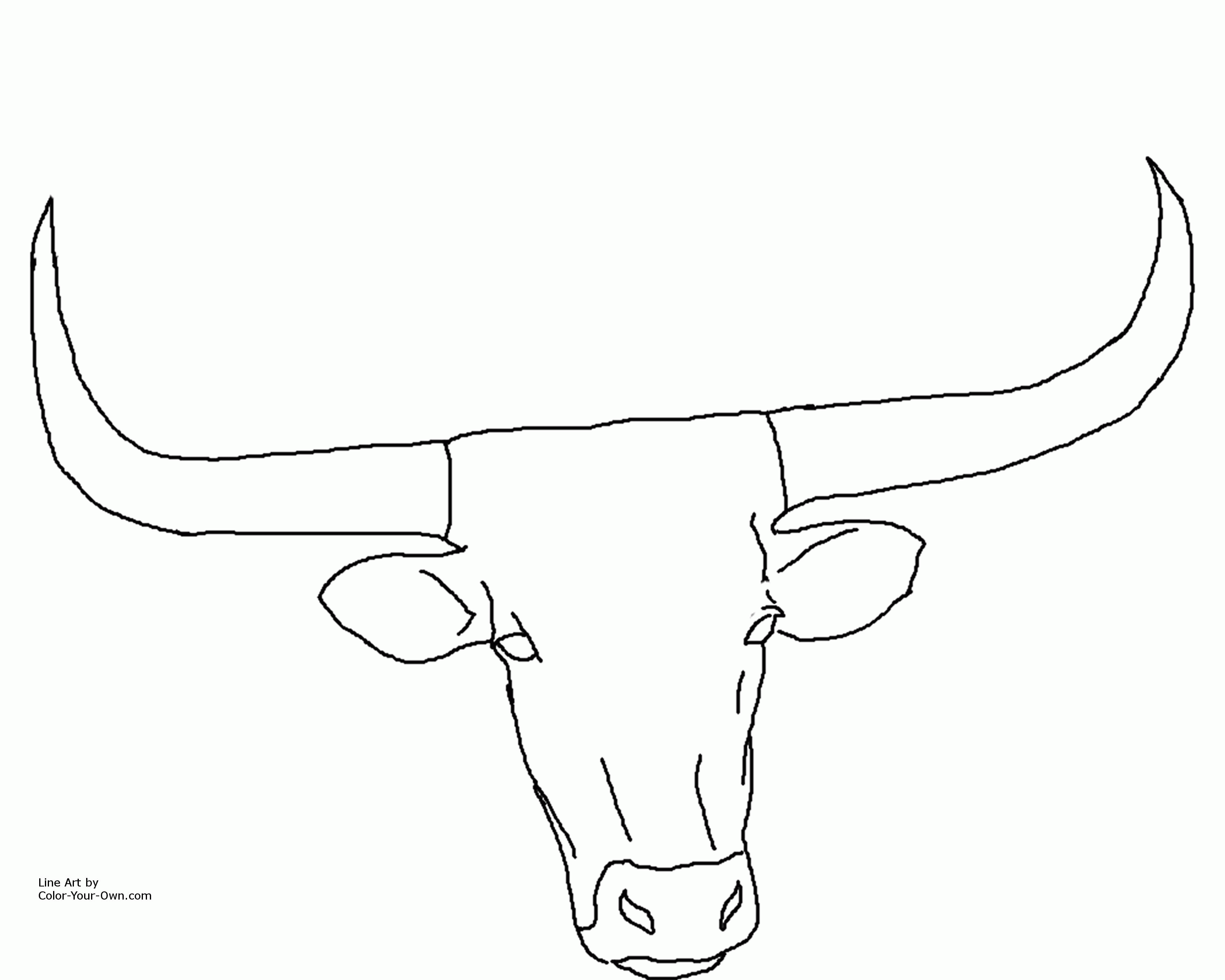 Longhorn cows head drawings