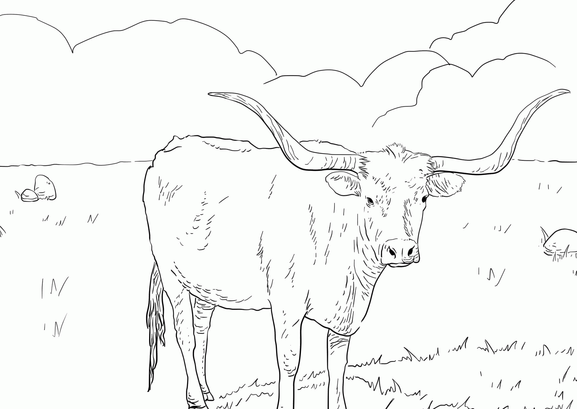 Working animal