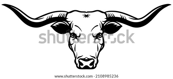 Longhorn drawing images stock photos d objects vectors
