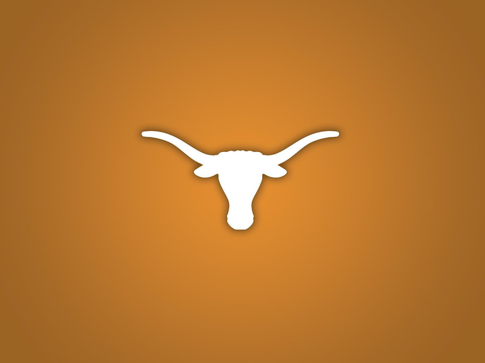 Texas longhorns