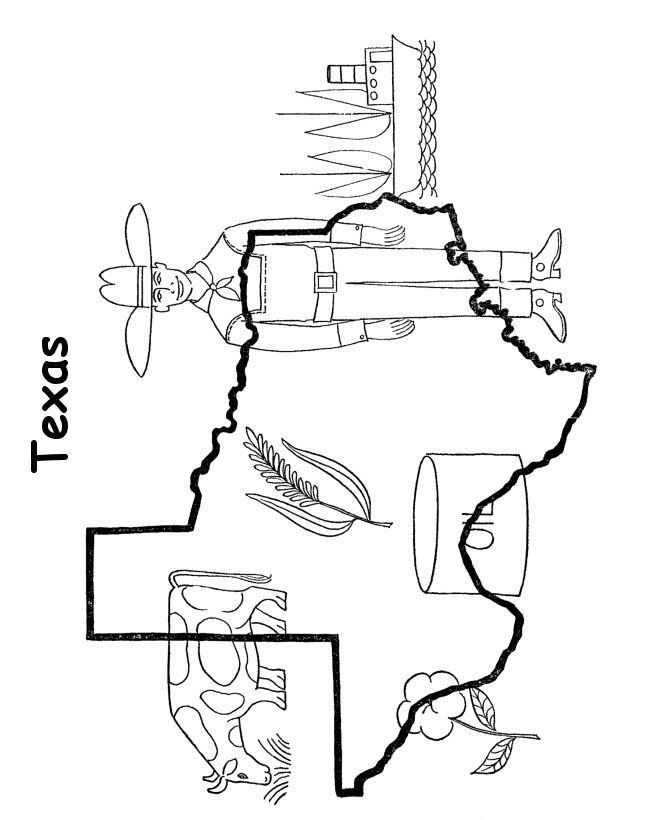 State outline shape and demographic map