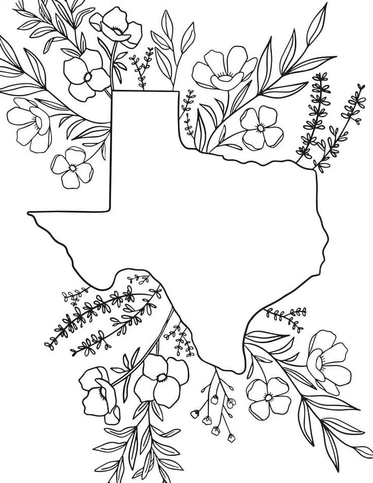 Texas state image coloring page