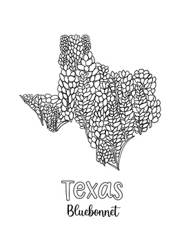 Texas blue bonnet coloring sheet by mrslymancreativecounseling tpt
