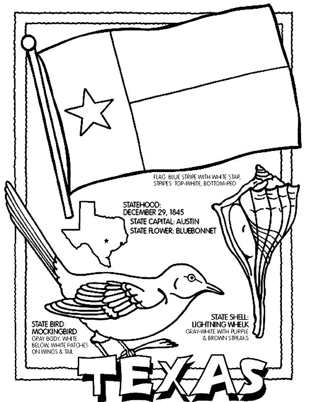 Texas on crayola teaching social studies homeschool social studies th grade social studies