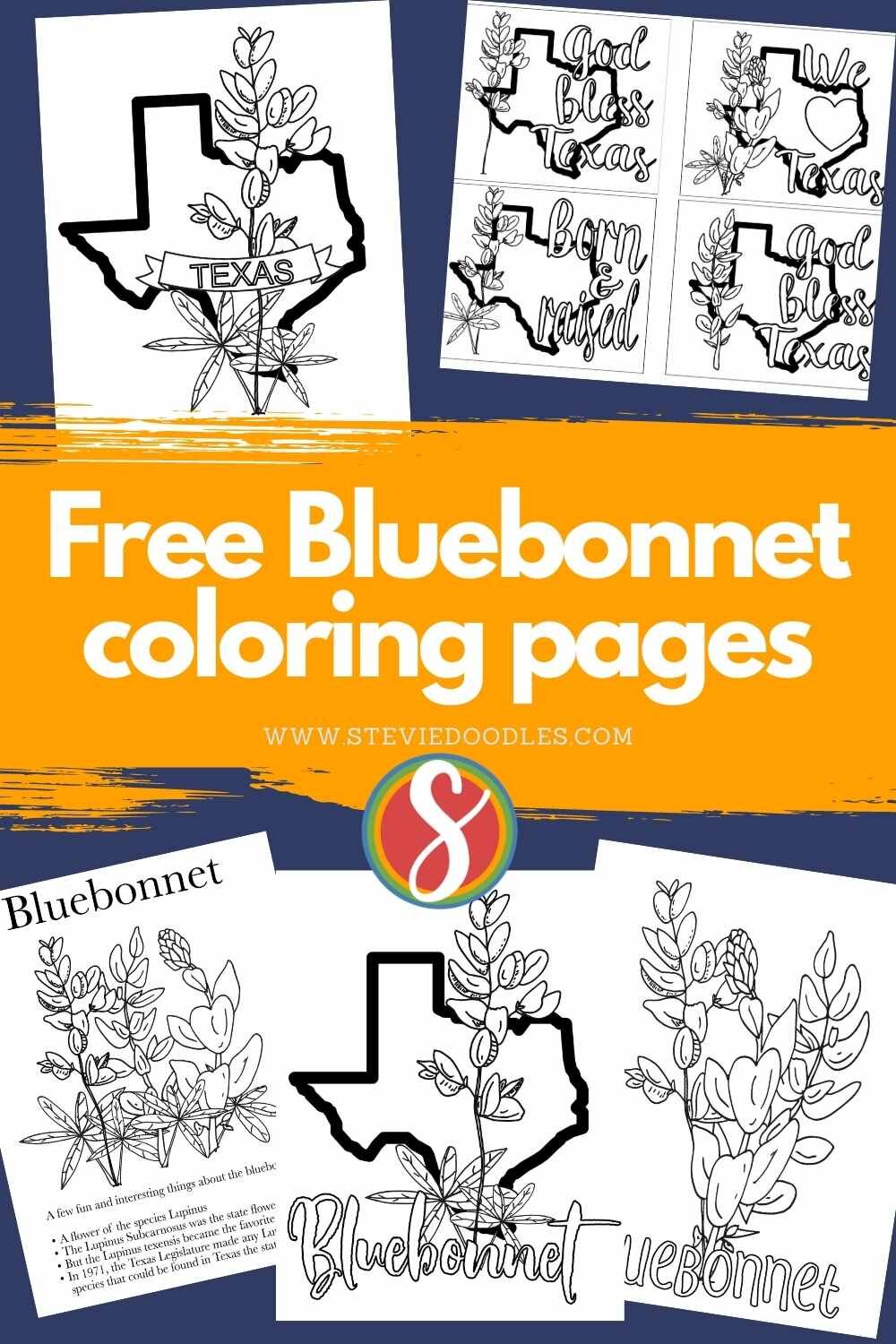 Free bluebonnet coloring pages â stevie doodles