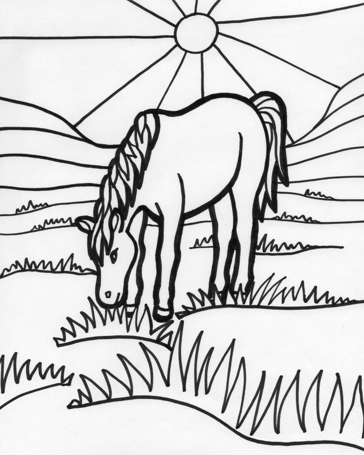 Texas rangers coloring pages pãginas de colorir animais pãginas para colorir pãginas para colorir para adultos