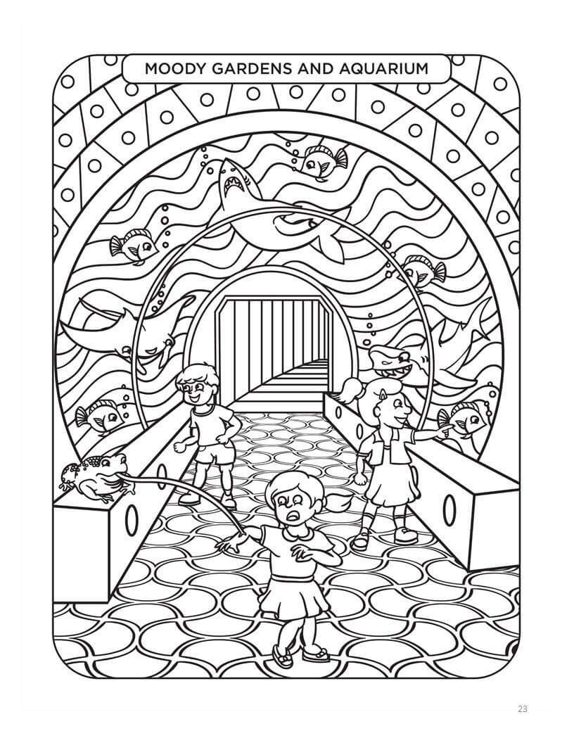 Texas bucket list coloring book