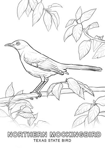 Texas state bird coloring page bird coloring pages coloring pages nature flower coloring pages