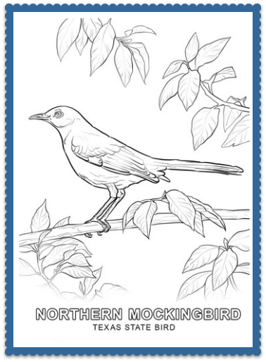 State bird coloring pages by usa facts for kids bird coloring pages coloring pages nature flower coloring pages