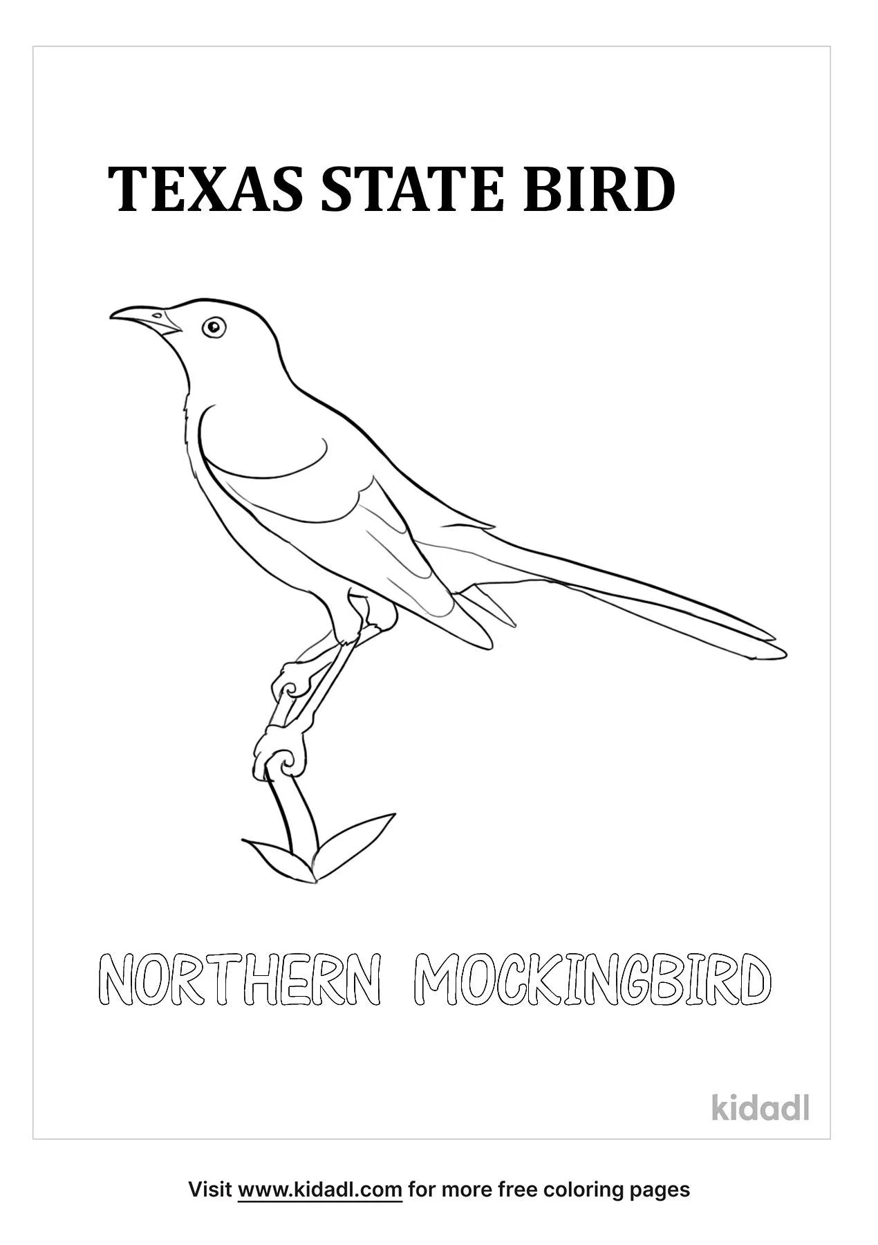 Free texas state bird coloring page coloring page printables