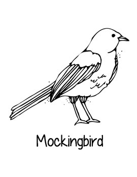 Texas state coloring pages by loving life in kindergarten tpt