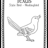 Birds â page â the art kit
