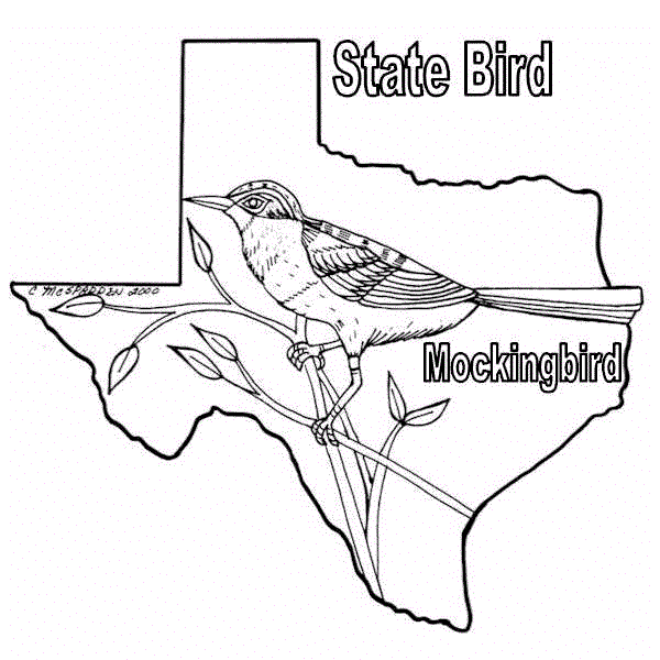 Mockingbird coloring sheet