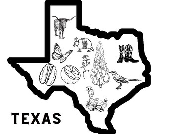 Texas symbols coloring tpt