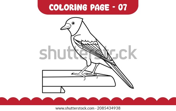 Bird coloring pages outline kids activity stock vector royalty free