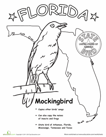 Florida state bird worksheet education bird coloring pages state birds florida state