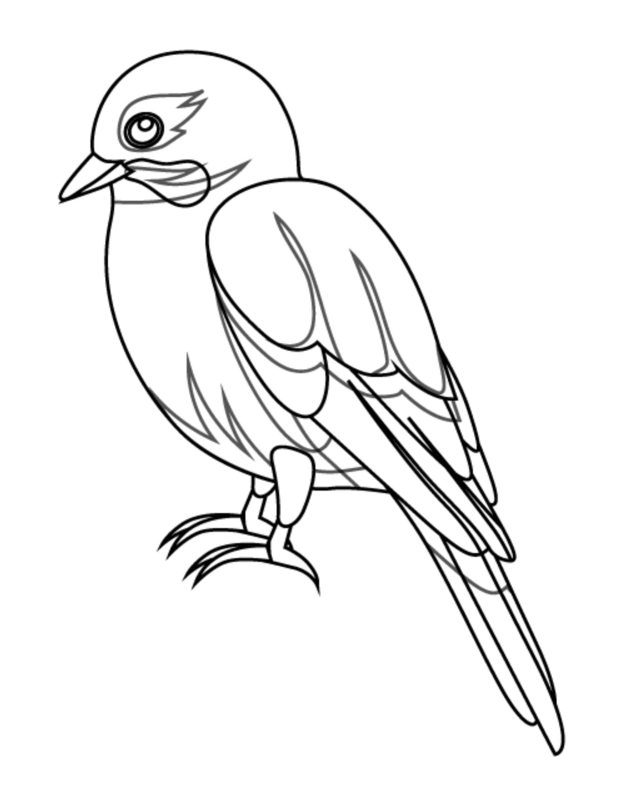 Bird coloring pages