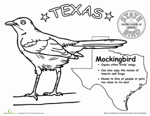 Texas state bird worksheet education state birds texas state texas symbols