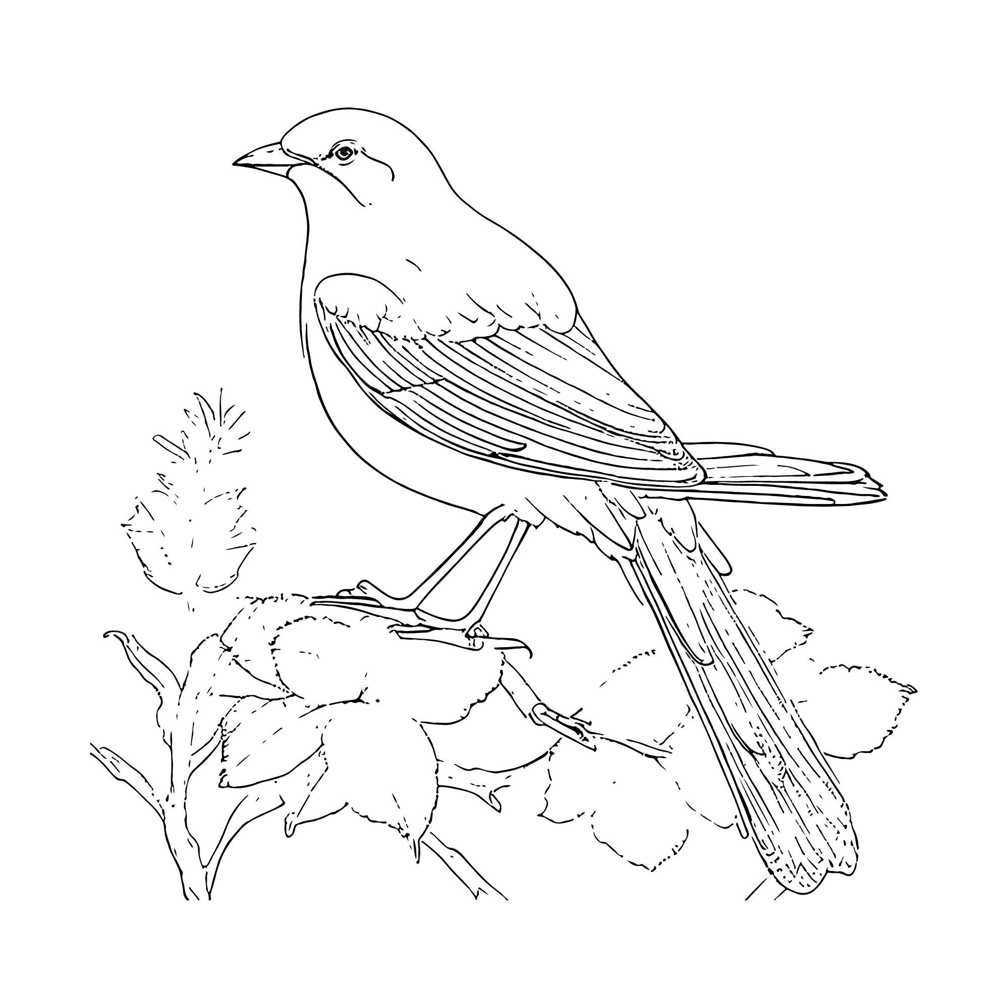Premium vector hand drawn kawaii coloring book illustration