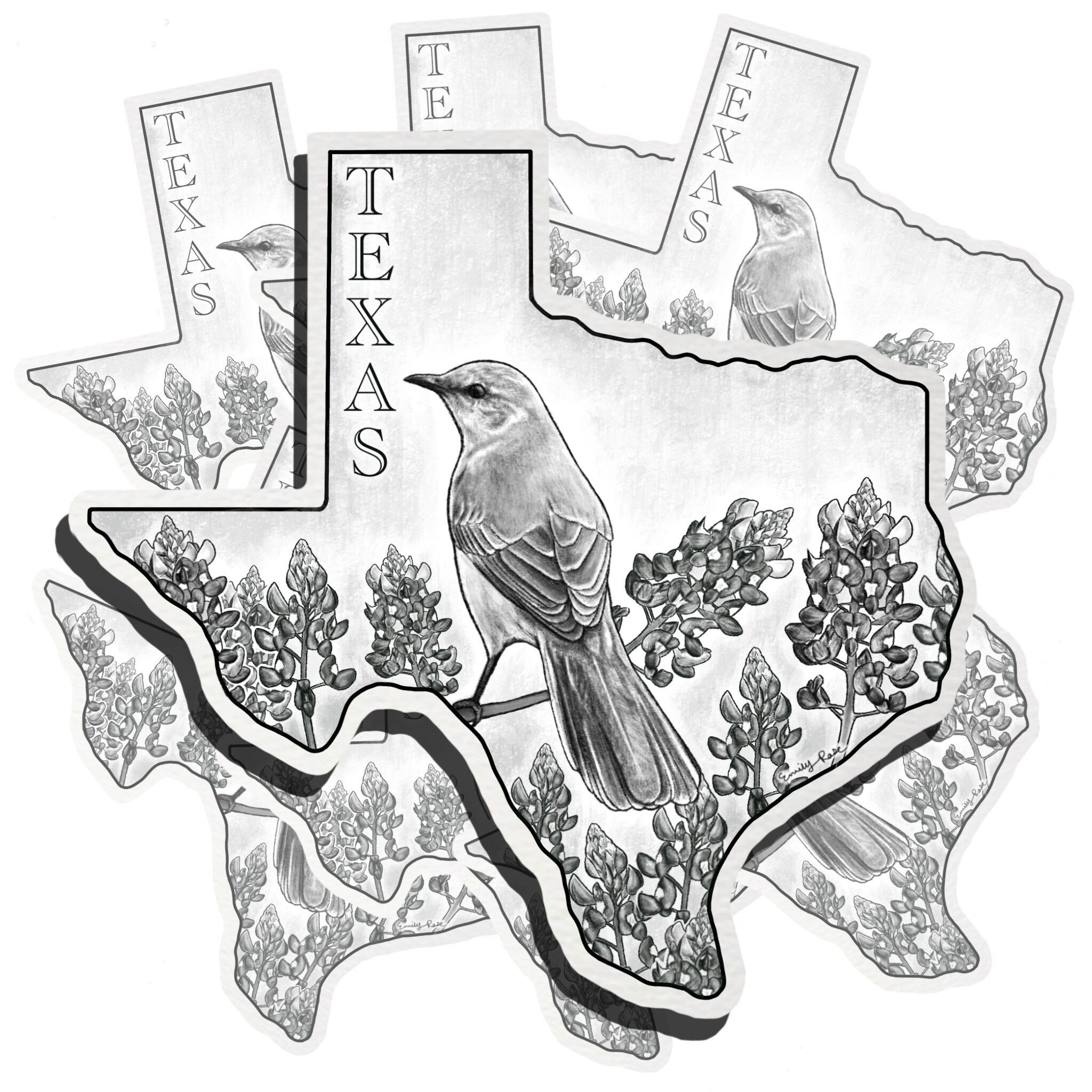 Texas sticker texas state sticker sticker decal state sticker any smooth surface vinyl sticker