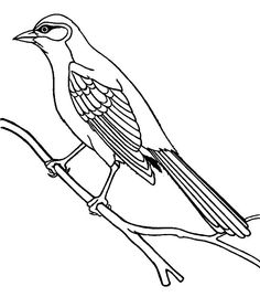 Mockingbird coloring pages ideas coloring pages coloring pictures online coloring