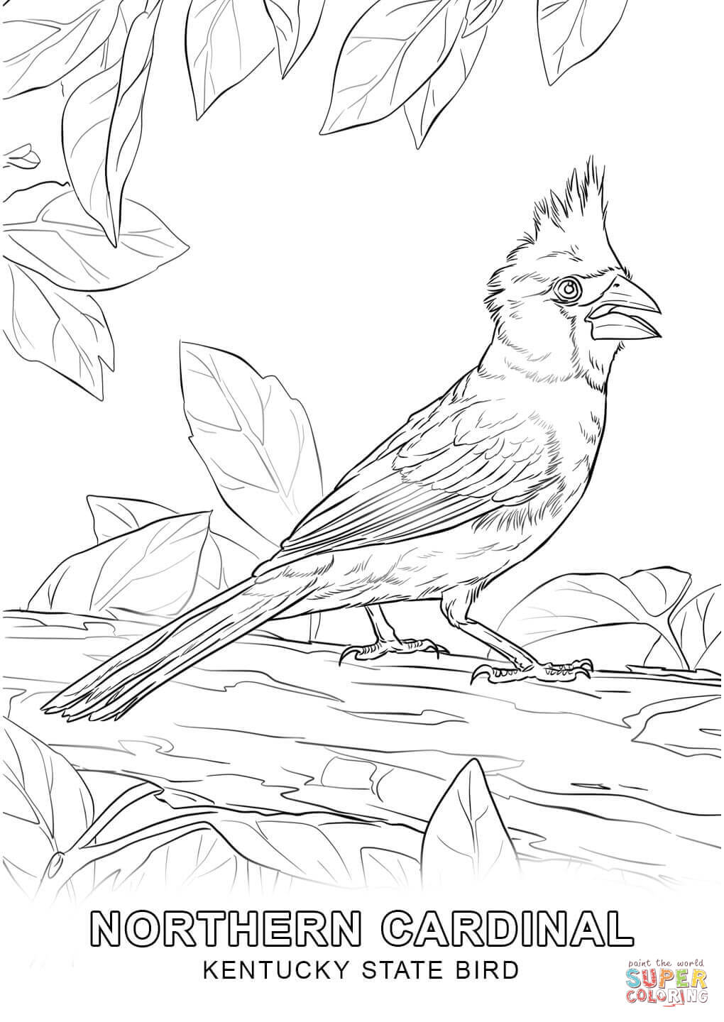 Texas state bird printable
