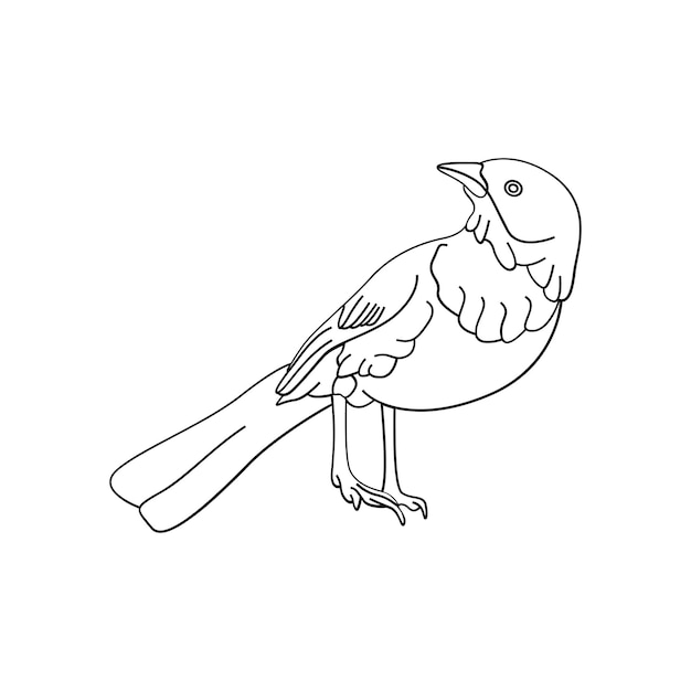 Premium vector bird outline vector for coloring book and tattoo design bird line art bird vector illustration