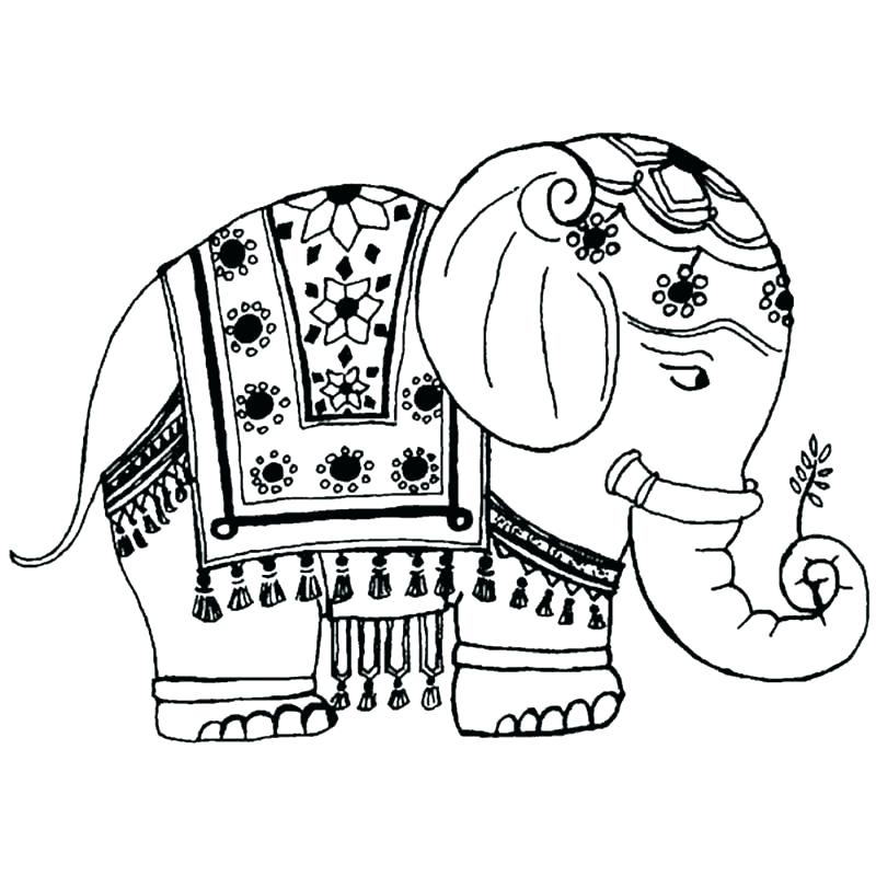 Elephant coloring pages for adults