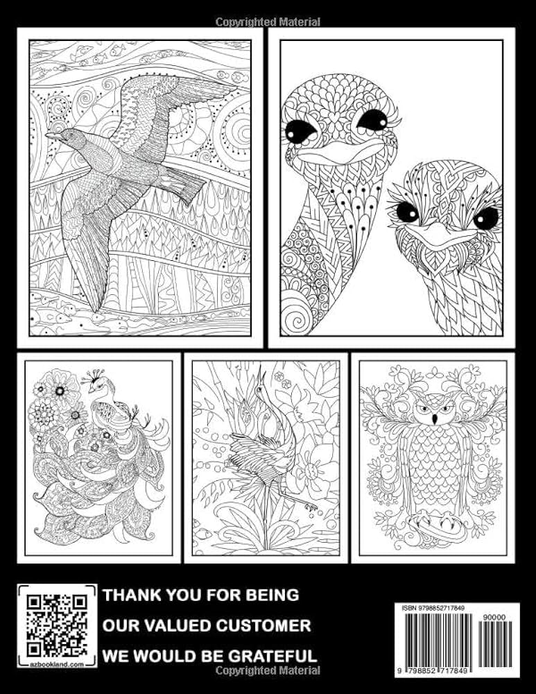 Abstract bird coloring book for adults by yoder xanthe