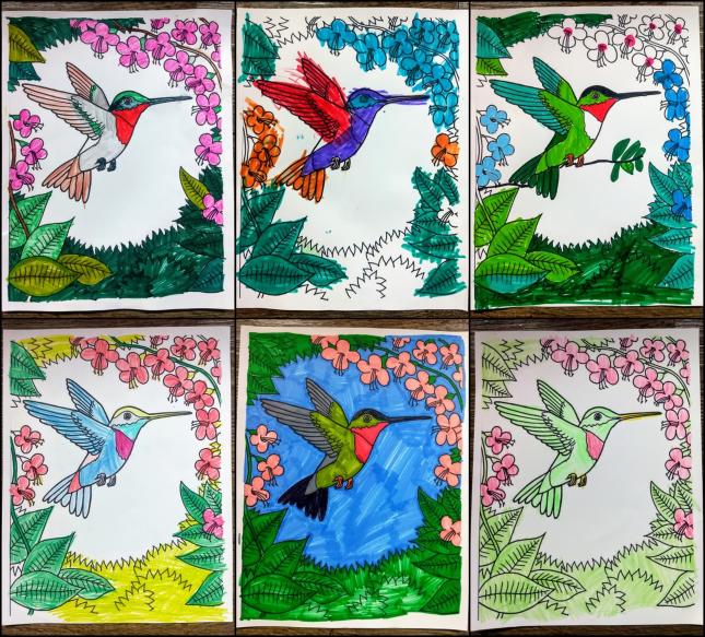 Wild birds unlimited