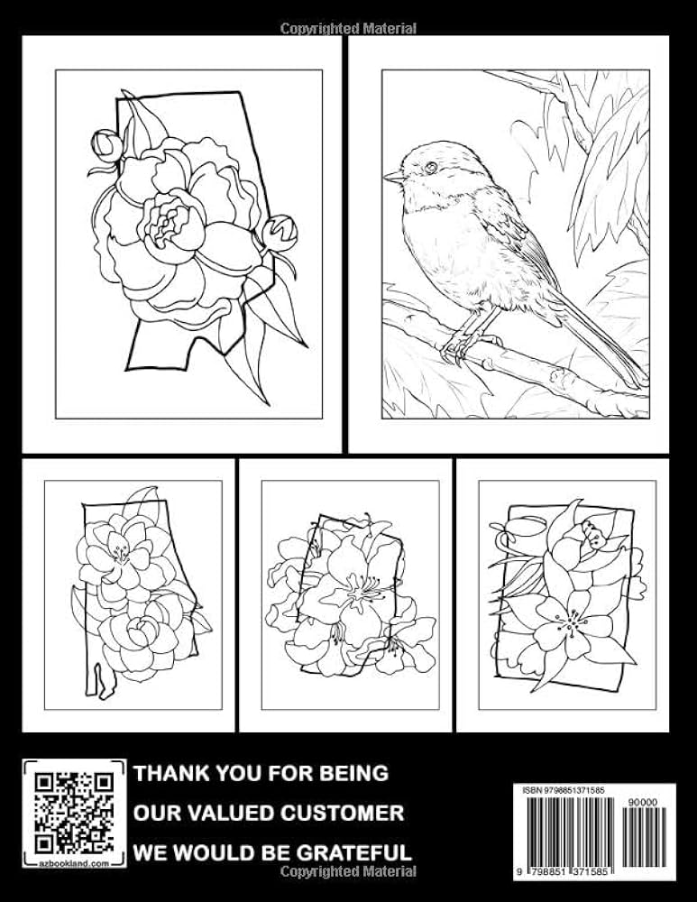 State birds and flowers coloring book fun and easy coloring pages in cute style for all ages to relax and unwind rice haider books