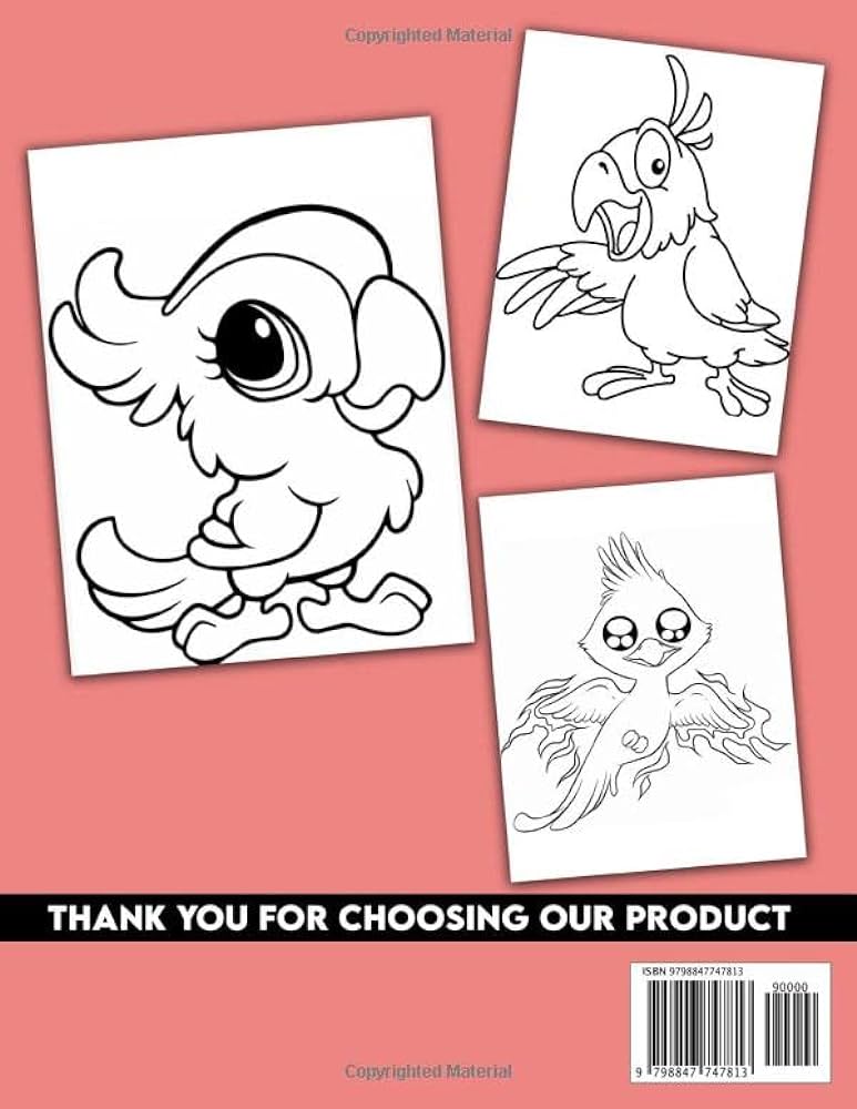 Chibi birds coloring book a book with adorable images of kawaii chibi birds for teens for relaxation and stress