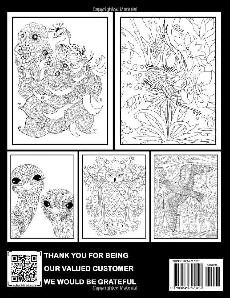 Abstract bird coloring book for adults relax and unleash creativity with bird coloring pages perfect gift for men and women yoder xanthe books