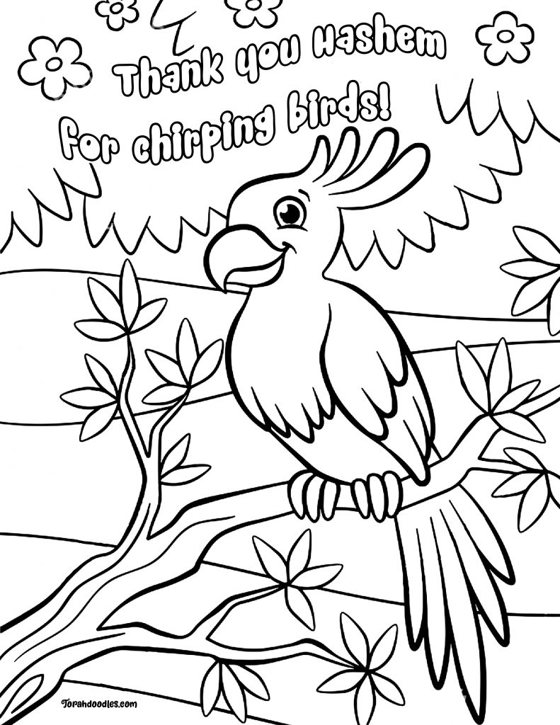 Coloring pages â torah doodles