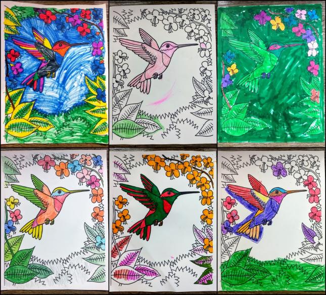 Wild birds unlimited