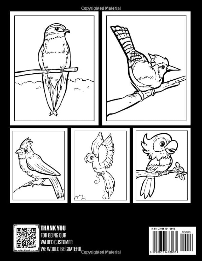 Beautiful unique birds coloring book stress
