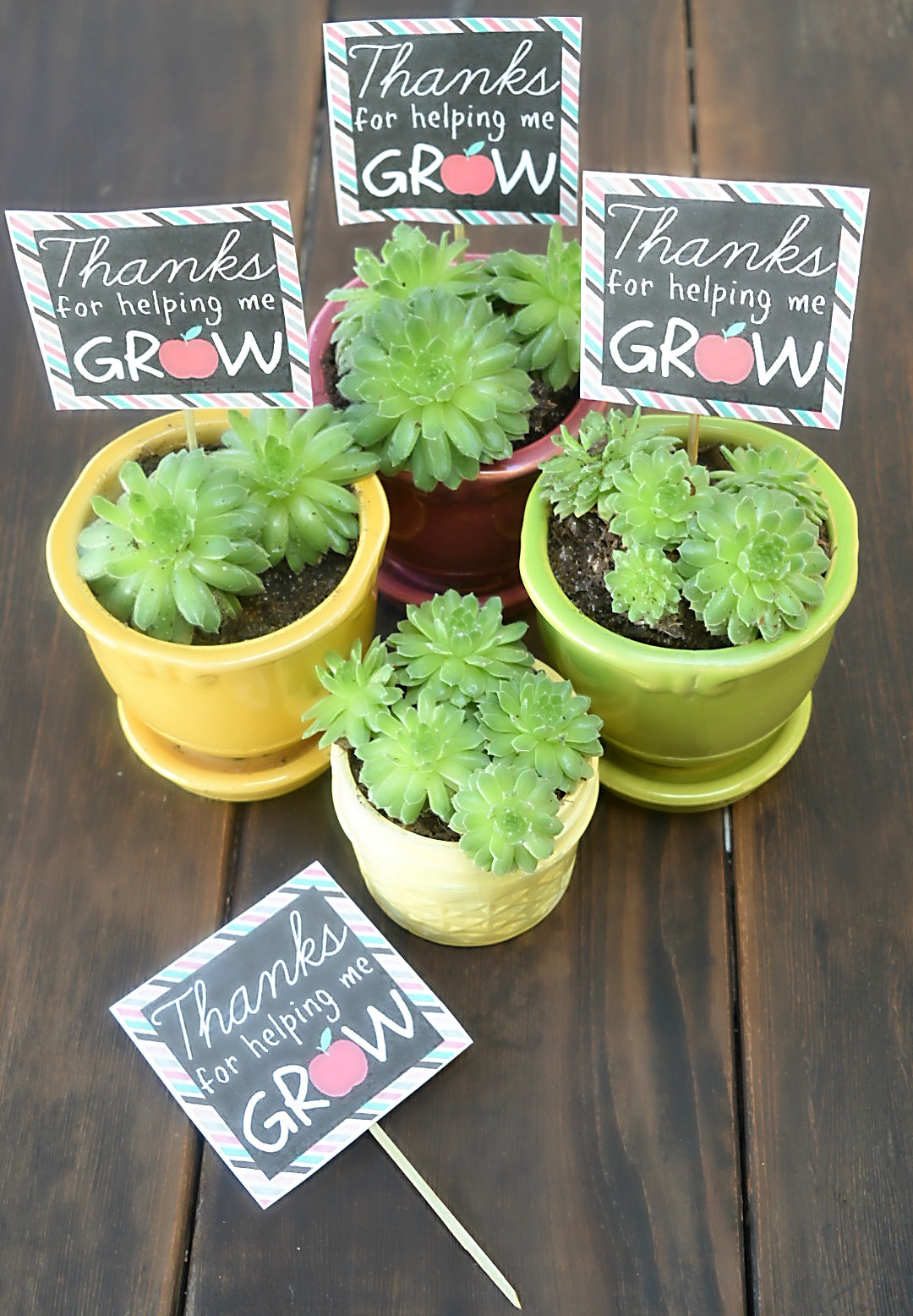 Teacher appreciation thanks for helping me grow printable