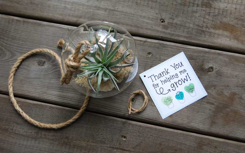 Thank you for helping me grow teacher appreciation