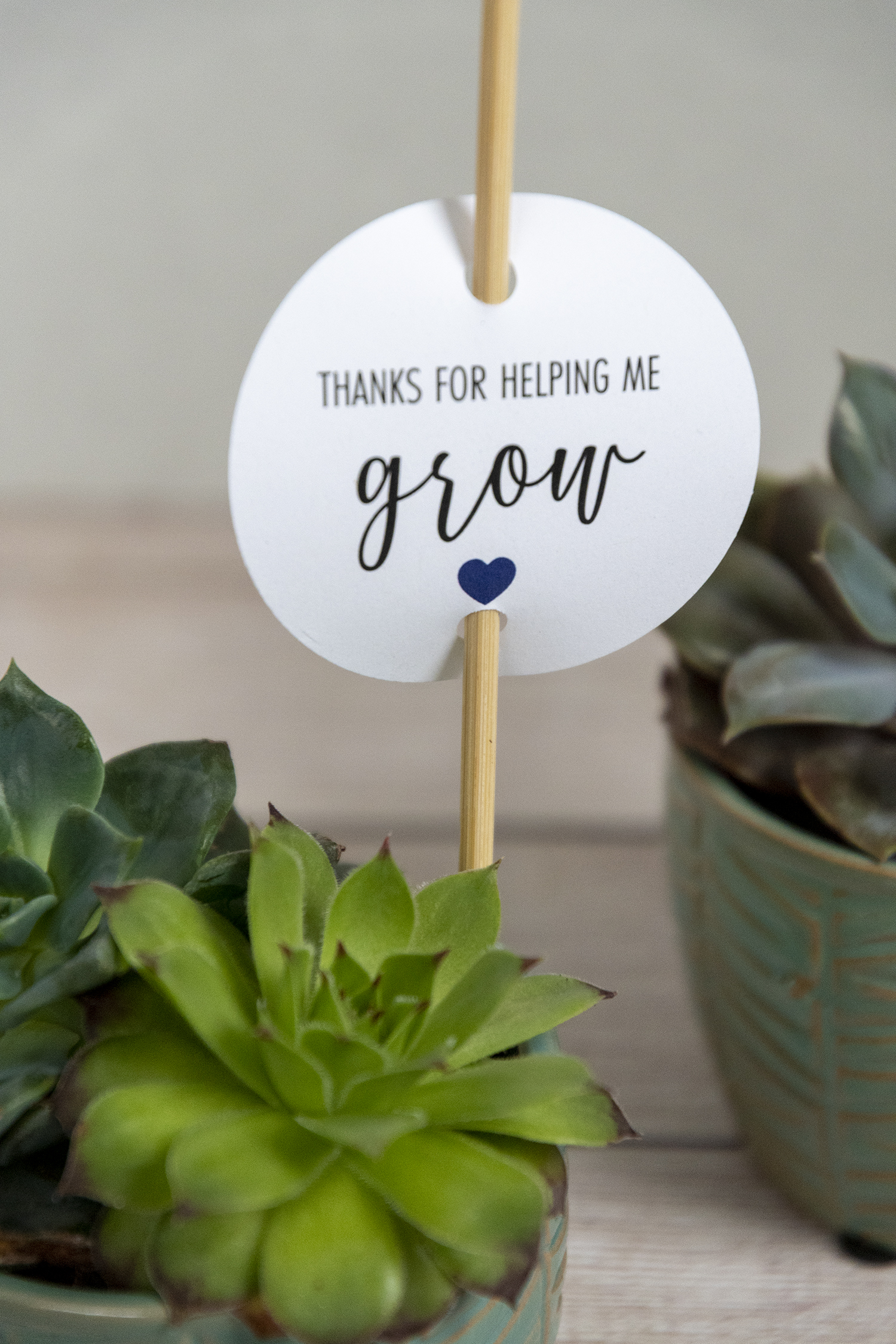 Thanks for helping me grow gift tags â faking it fabulous