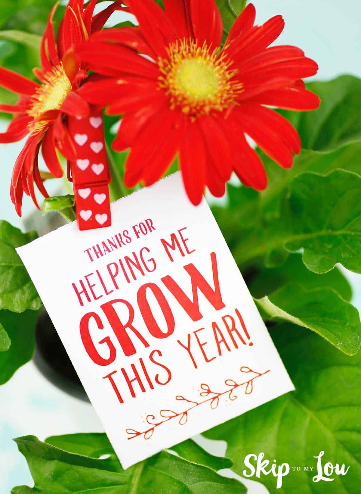 Free printable thank you for helping me grow gift tags skip to my lou