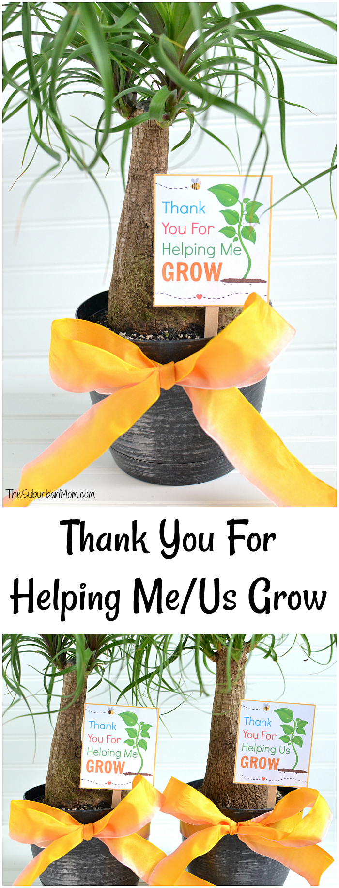 Thank you for helping me grow free printable us version too