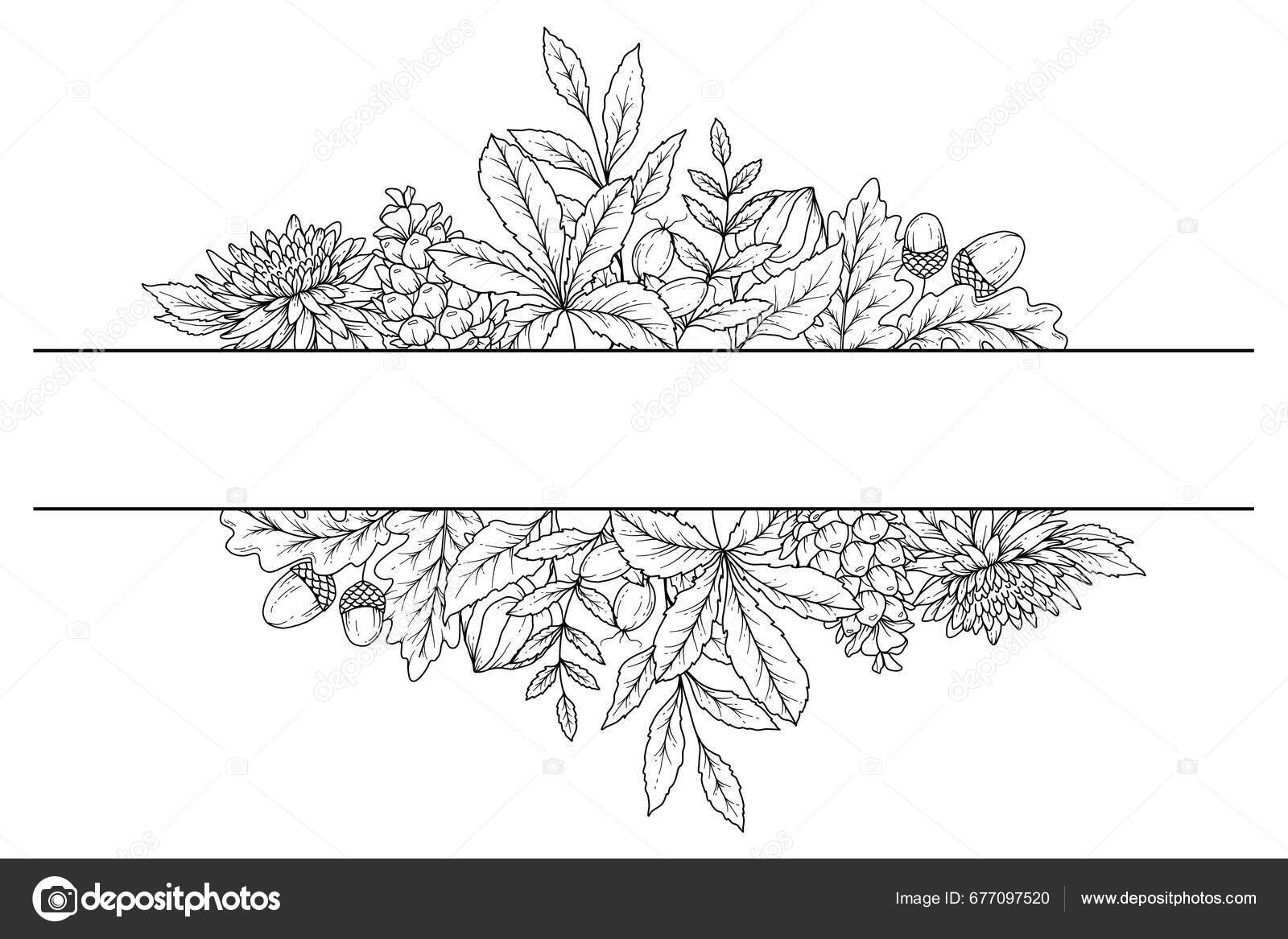 Fall floral frame outline fall foliage line art illustration outline stock vector by caraulanart