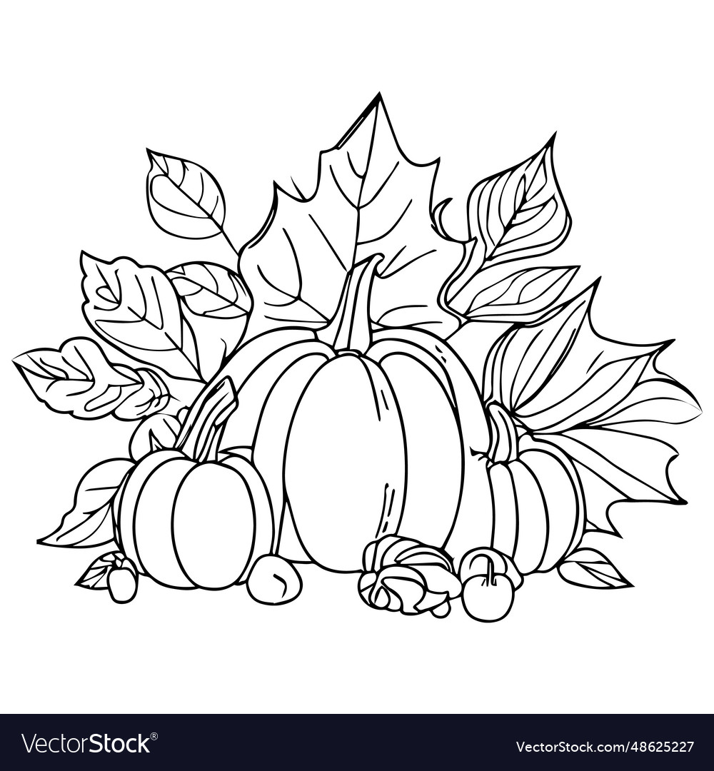 Nature thanksgiving coloring sheet with autumn vector image