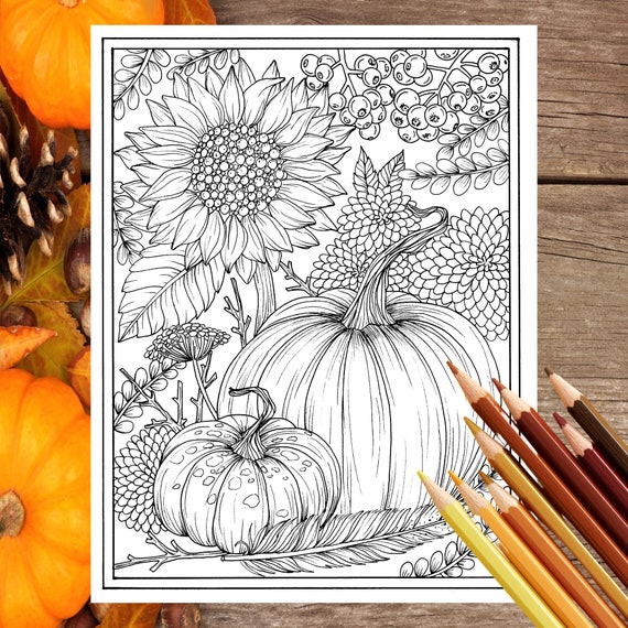 Fall flowers and pumpkins digital coloring page thanksgiving mums sunflower autumn digi stamp