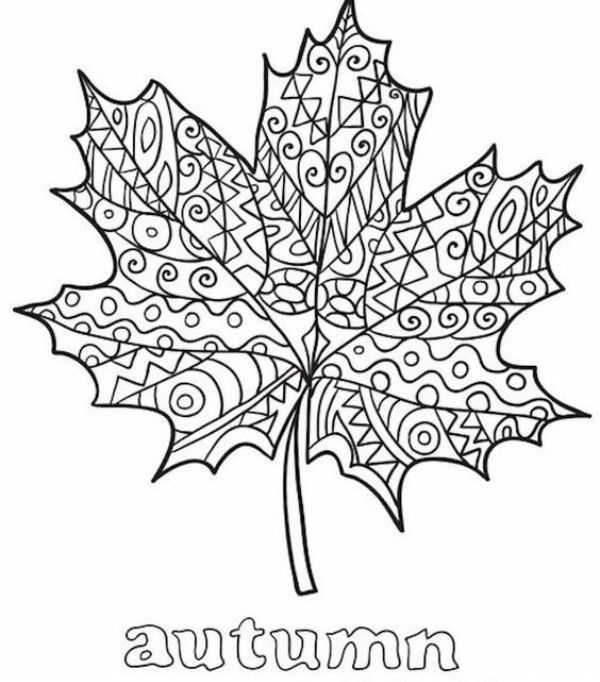 These thanksgiving coloring pages will keep kids busy til turkey time fall coloring pages fall leaves coloring pages thanksgiving coloring pages