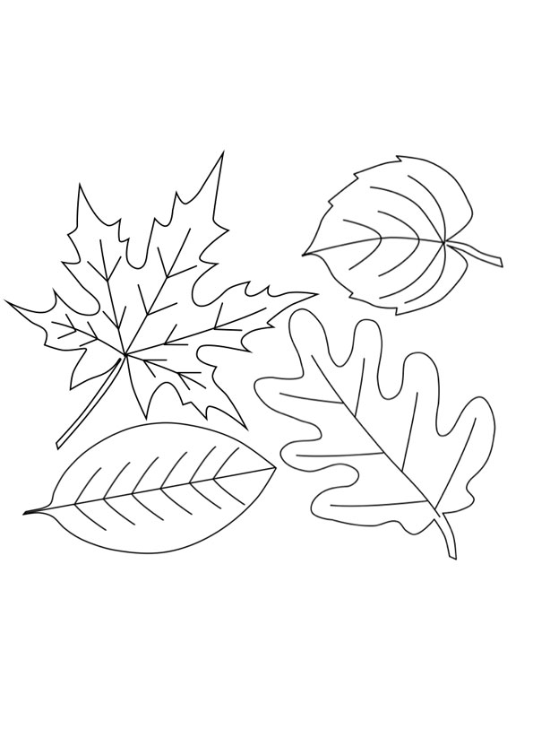 Coloring pages fall leaves coloring sheets