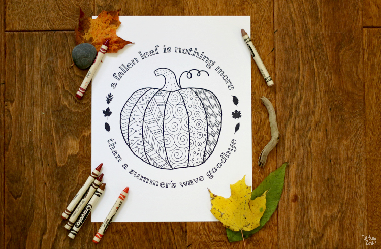 Pumpkin coloring page printable