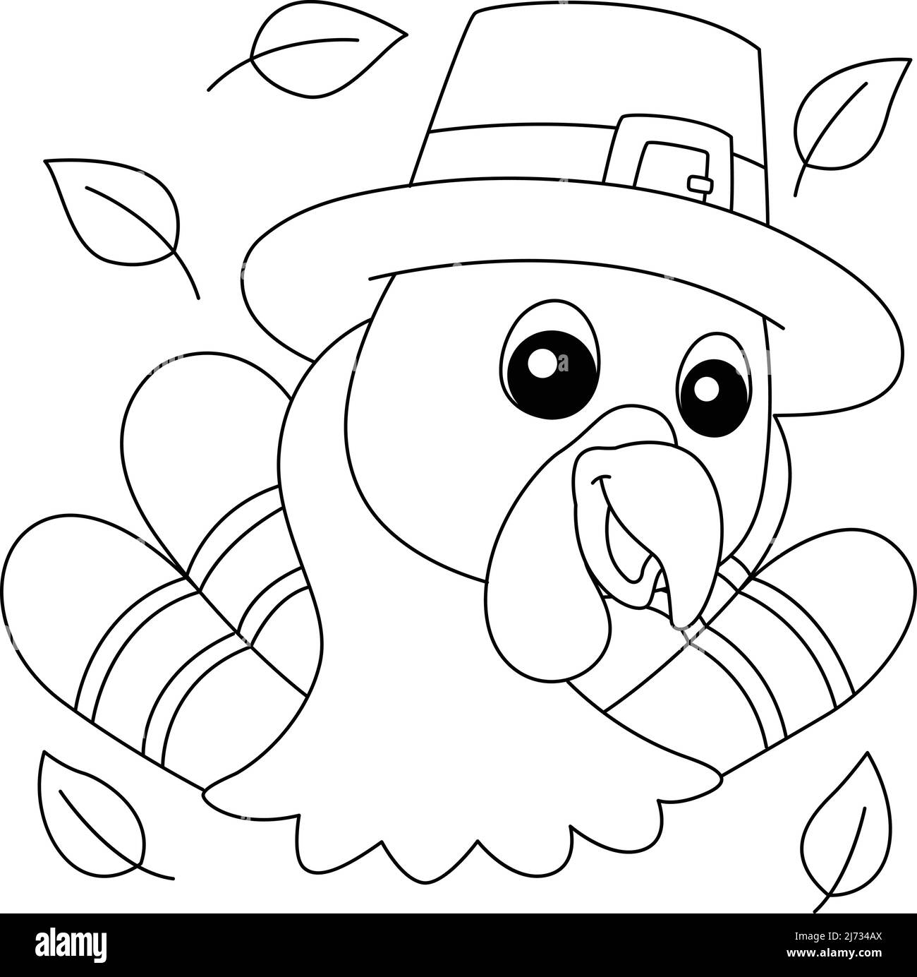 Turkey hat hi