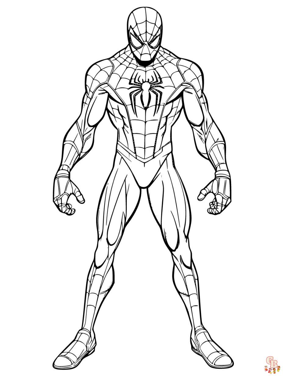 Explore our collection of printable spiderman coloring pages free