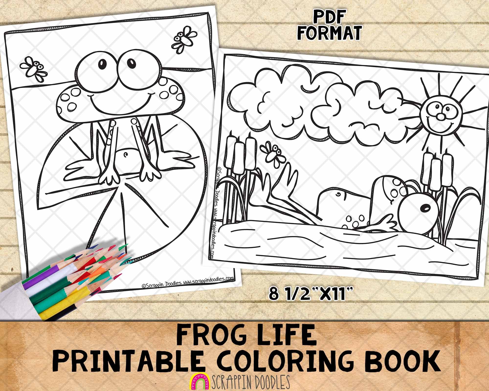 Frog life coloring book